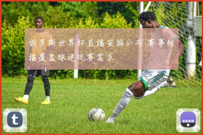 俄罗斯世界杯直播安排公布 赛事转播覆盖球迷观赛需求