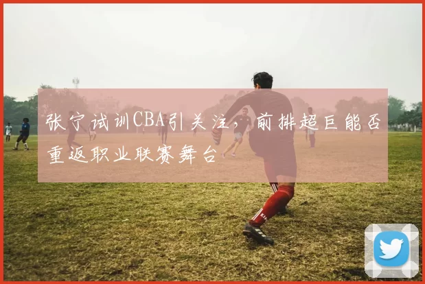 张宁试训CBA引关注,前排超巨能否重返职业联赛舞台