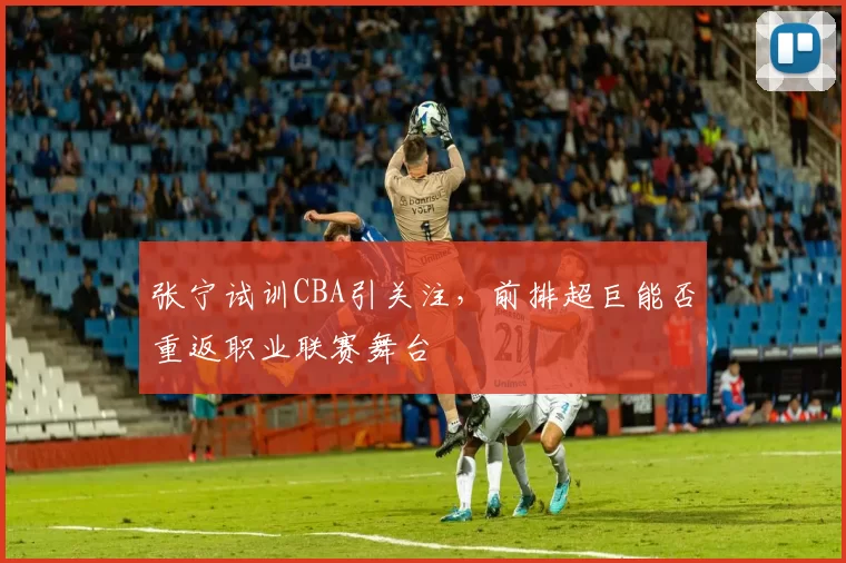 张宁试训CBA引关注,前排超巨能否重返职业联赛舞台