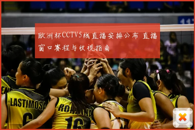 欧洲杯CCTV5线直播安排公布 直播窗口赛程与收视指南