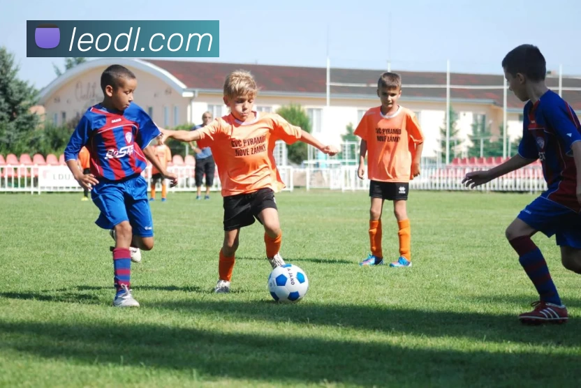 星空app网页登录入口APP 封面图